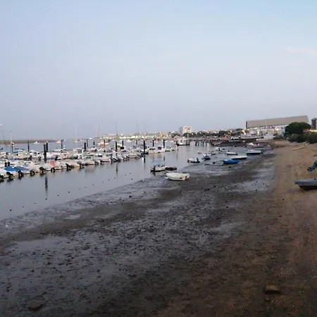 Entre Mar Y Pinos *